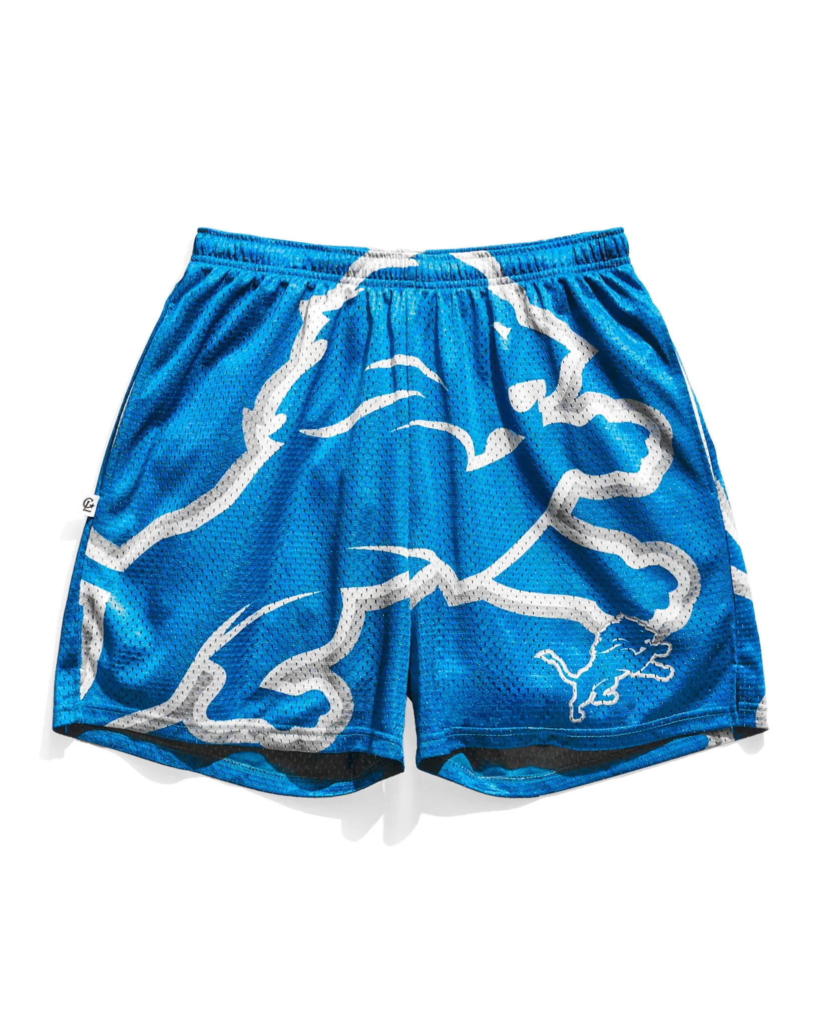 Detroit Lions Big Logo Retro Shorts