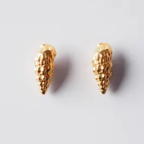 Wild seashell - stud earrings - silver 925 - gold plated